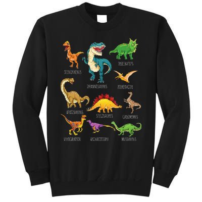 Types Of Dinosaurs Graphics Dino Identification Sweatshirt