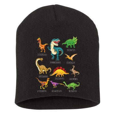 Types Of Dinosaurs Graphics Dino Identification Short Acrylic Beanie