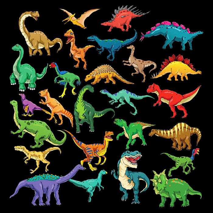 Types Of Dinosaurs Graphics Dino Identification Sweatshirt