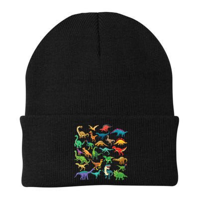 Types Of Dinosaurs Graphics Dino Identification Beanie