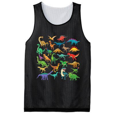 Types Of Dinosaurs Graphics Dino Identification Mesh Reversible Basketball Jersey Tank