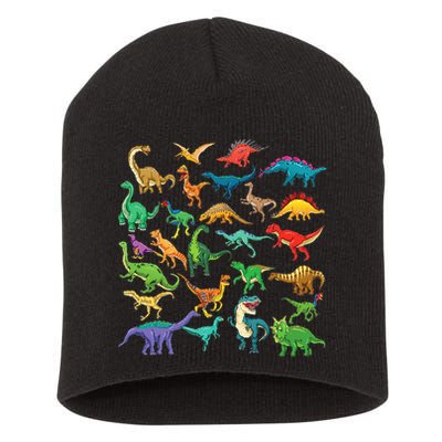 Types Of Dinosaurs Graphics Dino Identification Short Acrylic Beanie