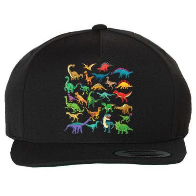 Types Of Dinosaurs Graphics Dino Identification Wool Snapback Cap