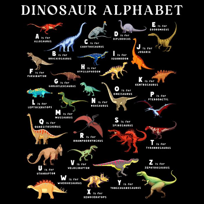 Types Of Dinosaurs Alphabet Abc Dino Identification Az Full-Length Apron With Pockets