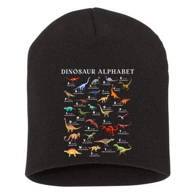 Types Of Dinosaurs Alphabet Abc Dino Identification Az Short Acrylic Beanie