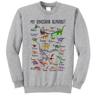 Types Of Dinosaurs Alphabet A Z Abc Dino Identification Tall Sweatshirt