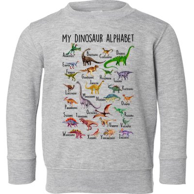 Types Of Dinosaurs Alphabet A Z Abc Dino Identification Toddler Sweatshirt