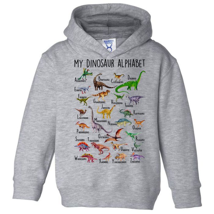Types Of Dinosaurs Alphabet A Z Abc Dino Identification Toddler Hoodie