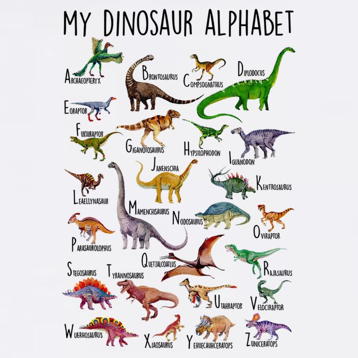 Types Of Dinosaurs Alphabet A Z Abc Dino Identification Button