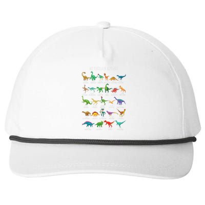 Types Of Dinosaurs Alphabet Az Abc Dino Identification Snapback Five-Panel Rope Hat