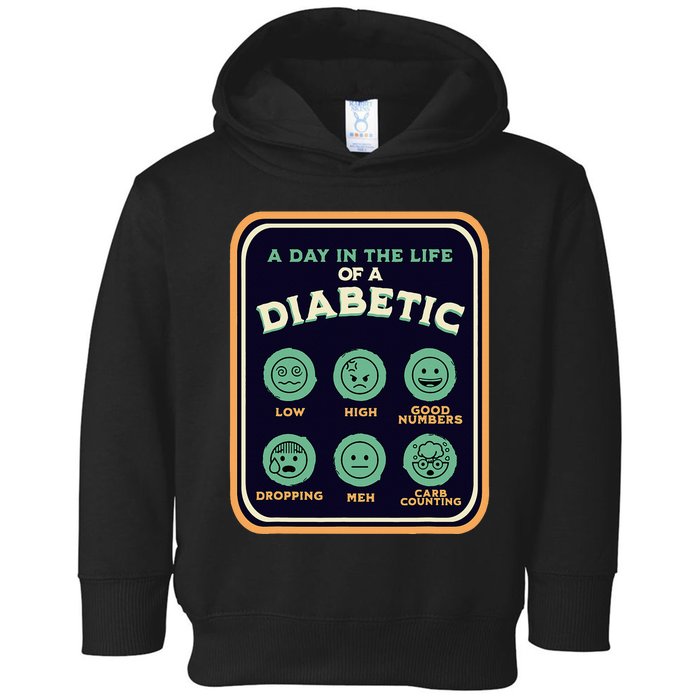 Type One Diabetes A Day As A Diabetic Funny T1D Awareness Toddler Hoodie