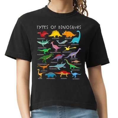 Types Of Dinosaurs Alphabet A-Z ABC Dino Identification Comfort Colors Boxy T-Shirt