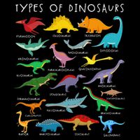 Types Of Dinosaurs Alphabet A-Z ABC Dino Identification Button