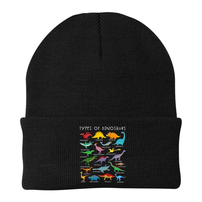 Types Of Dinosaurs Alphabet A-Z ABC Dino Identification Beanie