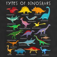 Types Of Dinosaurs Alphabet A-Z ABC Dino Identification Beanie