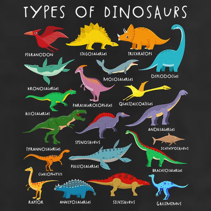 Types Of Dinosaurs Alphabet A-Z ABC Dino Identification Beanie