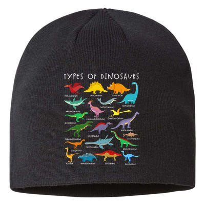 Types Of Dinosaurs Alphabet A-Z ABC Dino Identification Sustainable Beanie