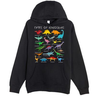Types Of Dinosaurs Alphabet A-Z ABC Dino Identification Premium Pullover Hoodie
