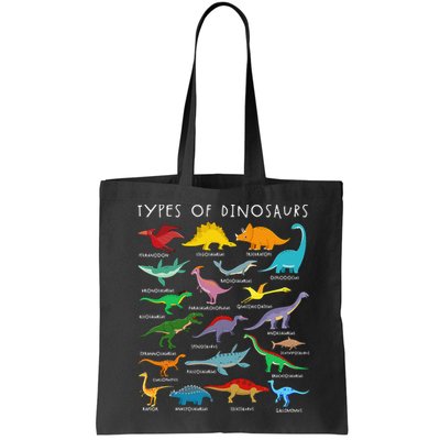 Types Of Dinosaurs Alphabet A-Z ABC Dino Identification Bag