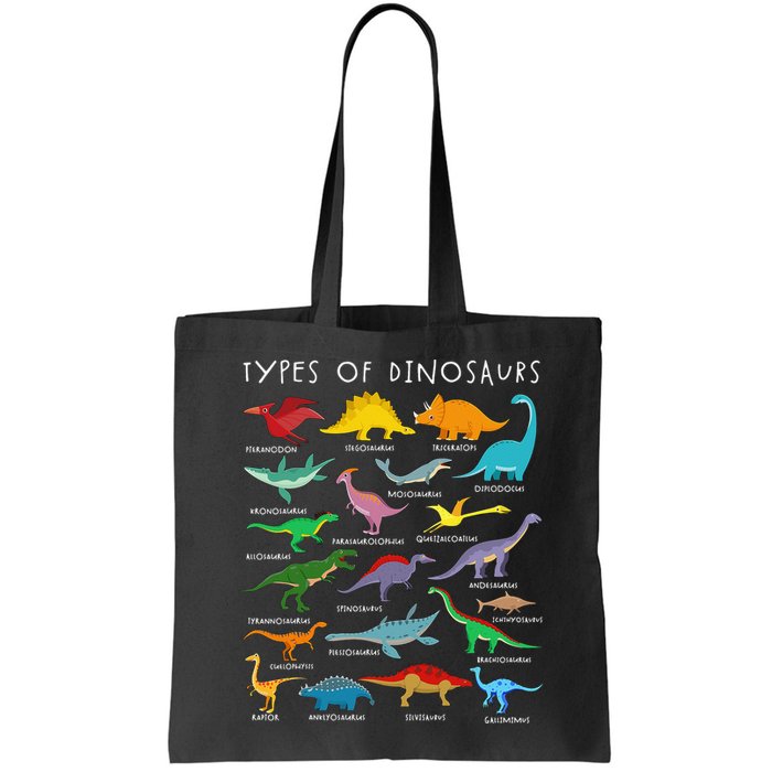 Types Of Dinosaurs Alphabet A-Z ABC Dino Identification Bag