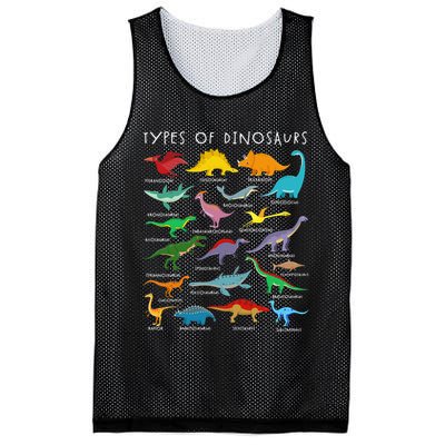 Types Of Dinosaurs Alphabet A-Z ABC Dino Identification Mesh Reversible Basketball Jersey Tank