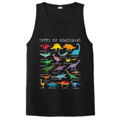 Types Of Dinosaurs Alphabet A-Z ABC Dino Identification PosiCharge Competitor Tank