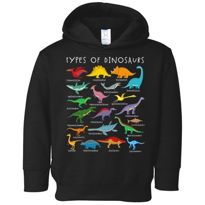Types Of Dinosaurs Alphabet A-Z ABC Dino Identification Toddler Hoodie