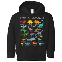 Types Of Dinosaurs Alphabet A-Z ABC Dino Identification Toddler Hoodie