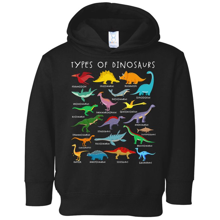 Types Of Dinosaurs Alphabet A-Z ABC Dino Identification Toddler Hoodie