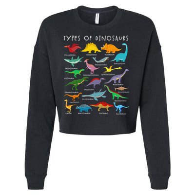 Types Of Dinosaurs Alphabet A-Z ABC Dino Identification Cropped Pullover Crew