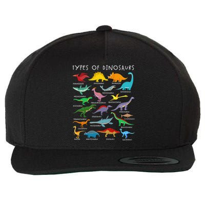 Types Of Dinosaurs Alphabet A-Z ABC Dino Identification Wool Snapback Cap