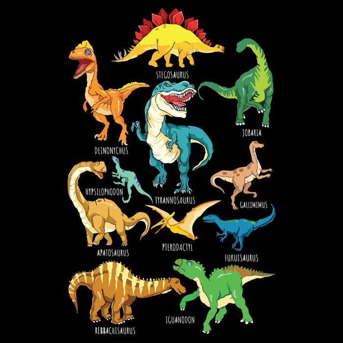 Types Of Dinosaurs Graphics Dino Identification Bucket Hat