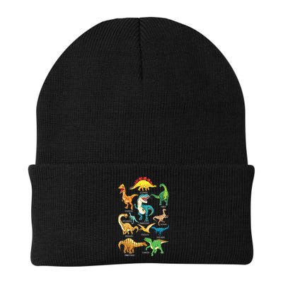 Types Of Dinosaurs Graphics Dino Identification Beanie