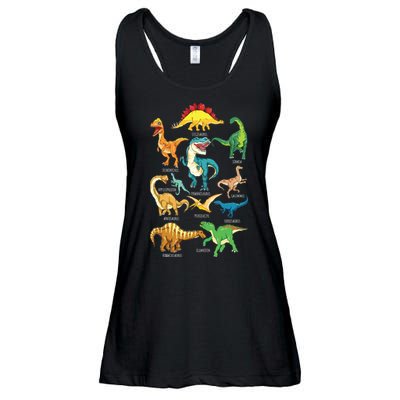 Types Of Dinosaurs Graphics Dino Identification Ladies Essential Flowy Tank