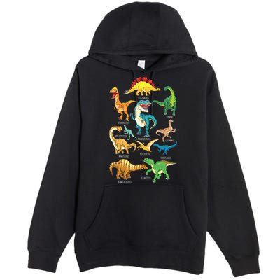 Types Of Dinosaurs Graphics Dino Identification Premium Pullover Hoodie