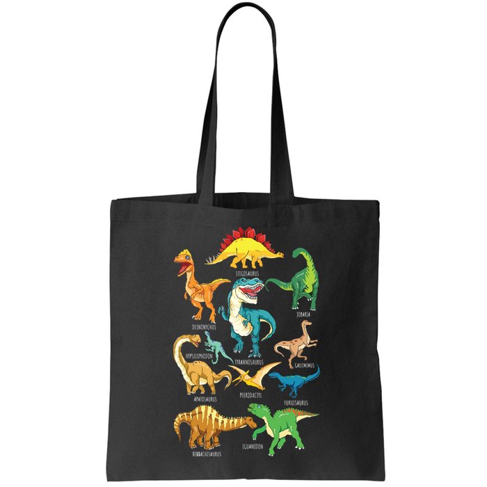 Types Of Dinosaurs Graphics Dino Identification Bag
