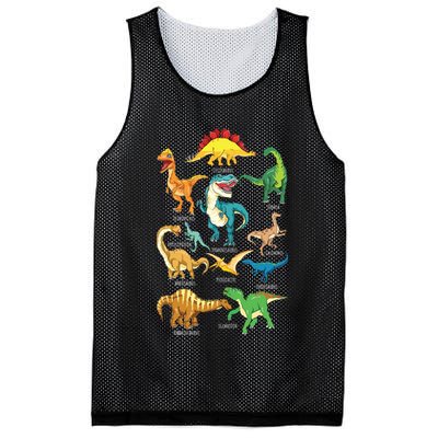Types Of Dinosaurs Graphics Dino Identification Mesh Reversible Basketball Jersey Tank