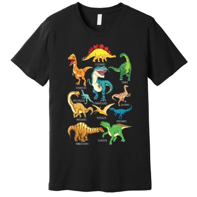 Types Of Dinosaurs Graphics Dino Identification Premium T-Shirt