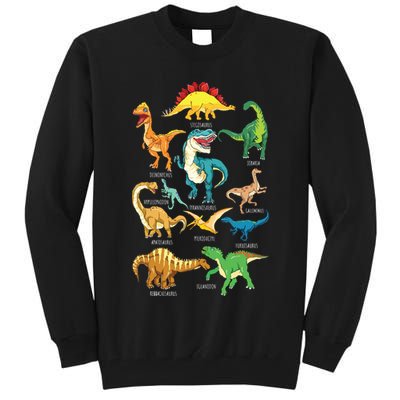 Types Of Dinosaurs Graphics Dino Identification Tall Sweatshirt