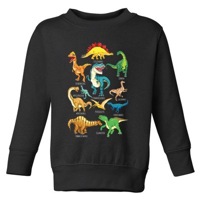Types Of Dinosaurs Graphics Dino Identification Toddler Sweatshirt