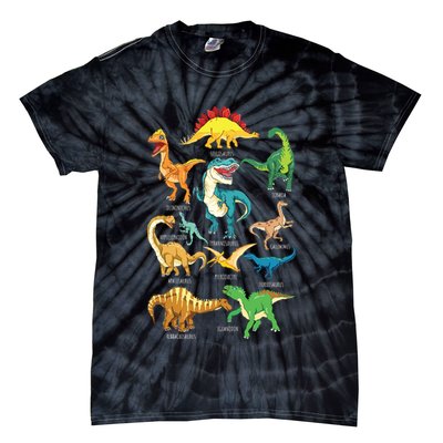 Types Of Dinosaurs Graphics Dino Identification Tie-Dye T-Shirt