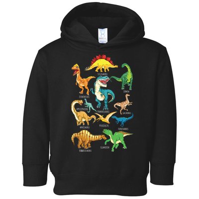 Types Of Dinosaurs Graphics Dino Identification Toddler Hoodie