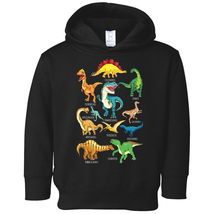 Types Of Dinosaurs Graphics Dino Identification Toddler Hoodie