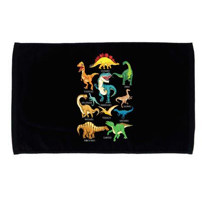 Types Of Dinosaurs Graphics Dino Identification Microfiber Hand Towel