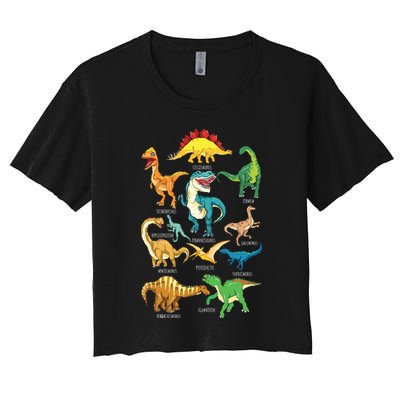 Types Of Dinosaurs Graphics Dino Identification Crop Top