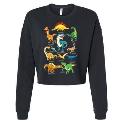 Types Of Dinosaurs Graphics Dino Identification Cropped Pullover Crew