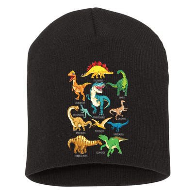 Types Of Dinosaurs Graphics Dino Identification Short Acrylic Beanie