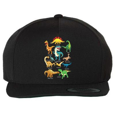 Types Of Dinosaurs Graphics Dino Identification Wool Snapback Cap