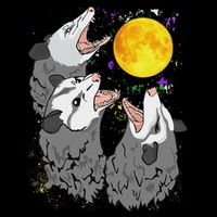 Three Opossum Dead Moon Possum Gifts Costumes 16 in Basic Backpack