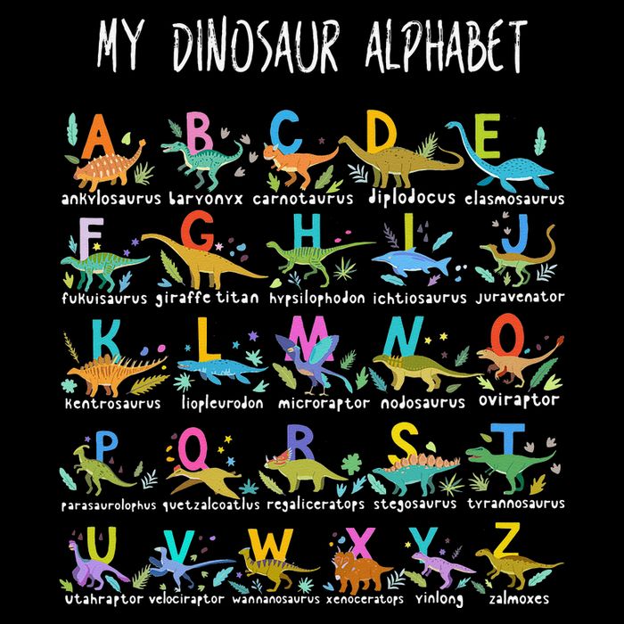 Types Of Dinosaurs Alphabet AZ ABC Dino Bucket Hat